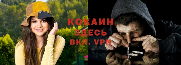 дживик Каменногорск