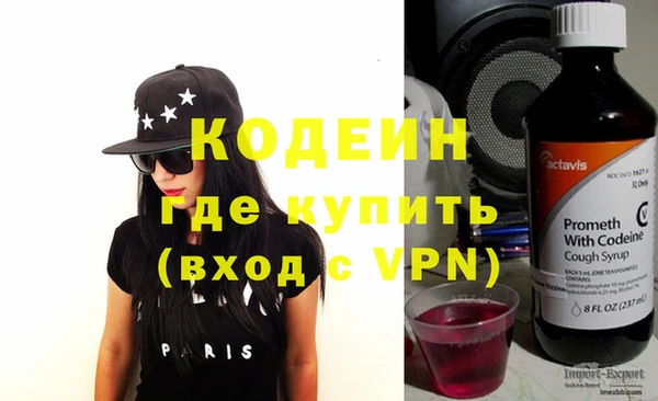 дживик Инта