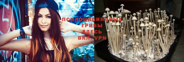 героин Инсар